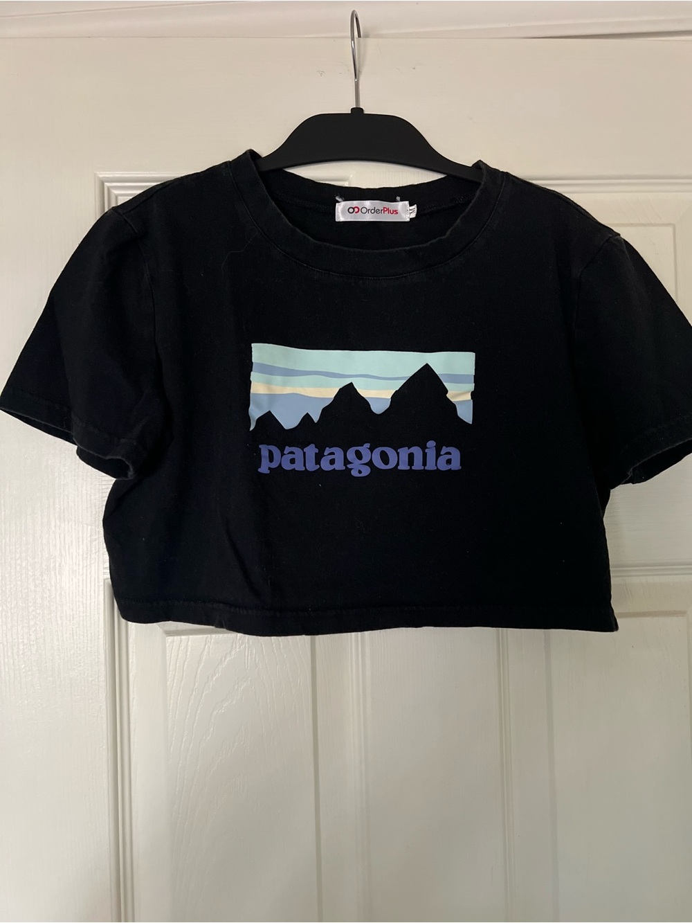 Black Cropped Tee with Printed Patagonia Pastel Mountain Logo